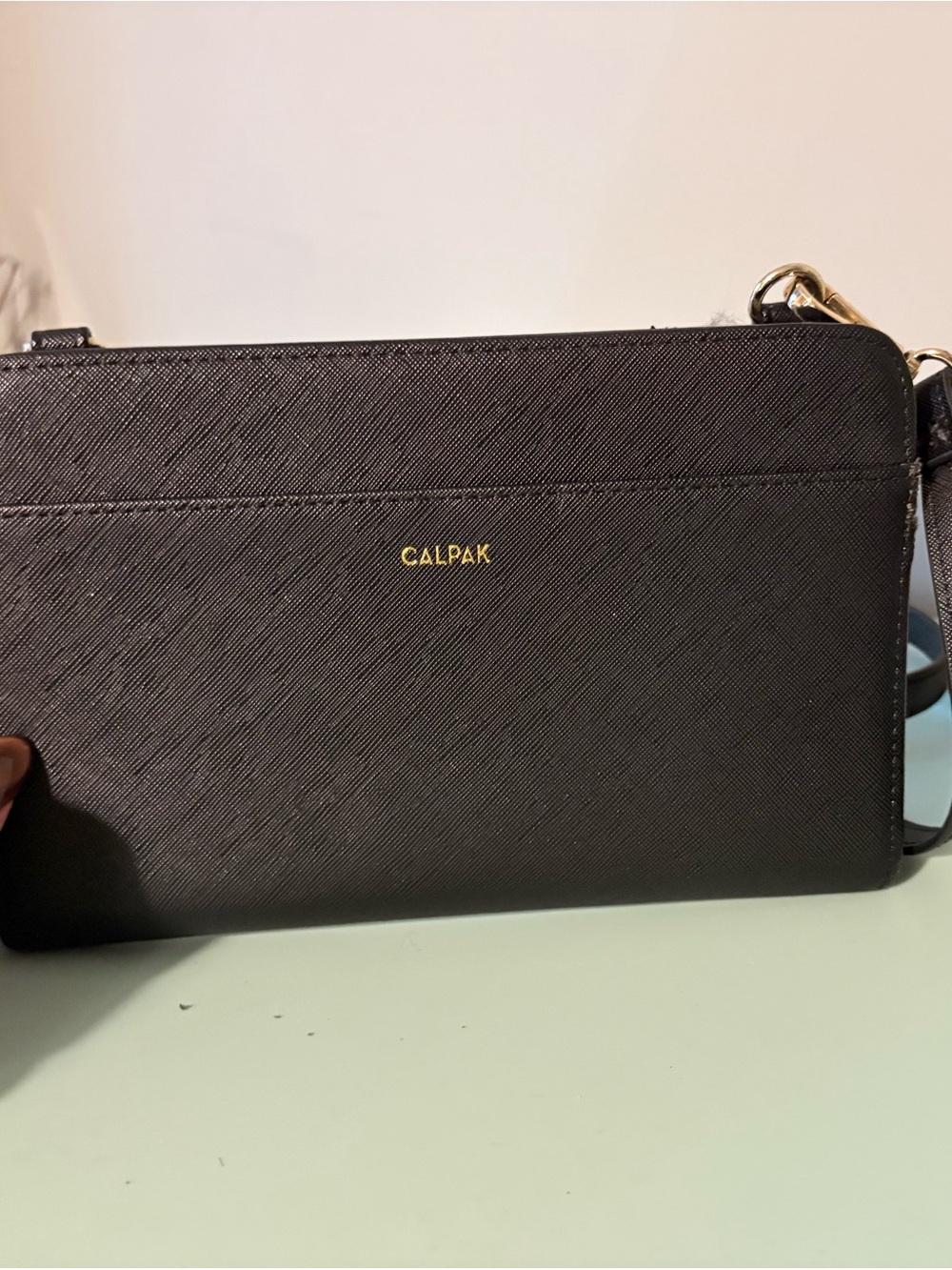 Calpak Black Textured Crossbody Wallet with Gold Logo